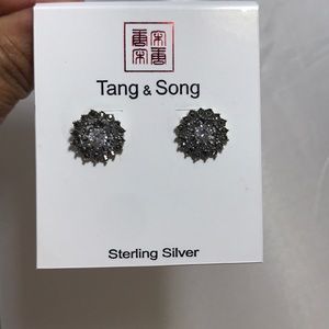 Sterling Silver Earrings